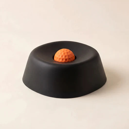 Slow Lick Enrichment Bowl