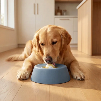 Slow Lick Enrichment Bowl
